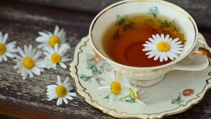 A tea can be prepared to use as a fountain to drip feed to the animal.