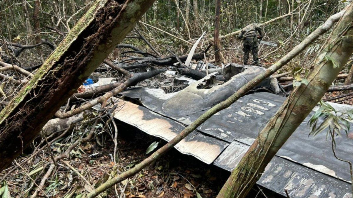 The Brazilian Air Force knocked a drug plane from Venezuela