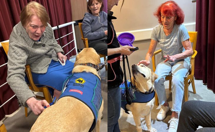 La presencia animal genera sonrisas, conversaciones espontáneas y mayor participación social. La presencia animal genera sonrisas, conversaciones espontáneas y mayor participación social.