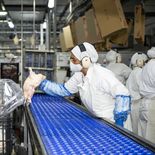 La industria avícola teme desaparecer si se habilita la importación desde Brasil. La industria avícola teme desaparecer si se habilita la importación desde Brasil.