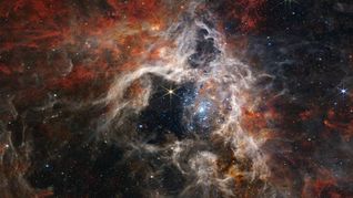historico: la nasa logro capturar un plano imperdible del nacimiento de estrellas similares al sol