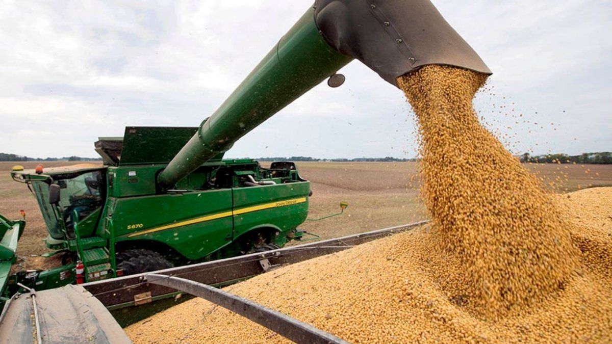 Soybeans rebounded from 2023 lows due to improved US crop projections