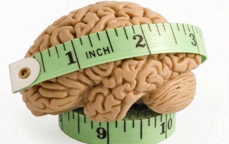 Cerebro y tamaño.&nbsp;