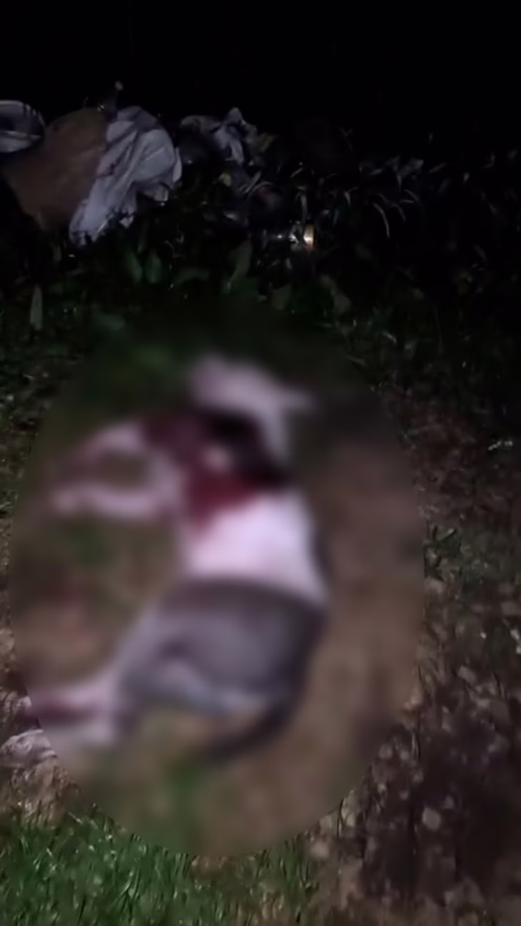 El perro fue encontrado muerto por la hija del denunciante. El perro fue encontrado muerto por la hija del denunciante.