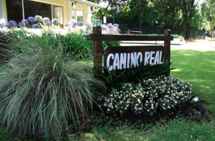 Giro en la causa por abuso sexual involucra a un jugador de Vélez.