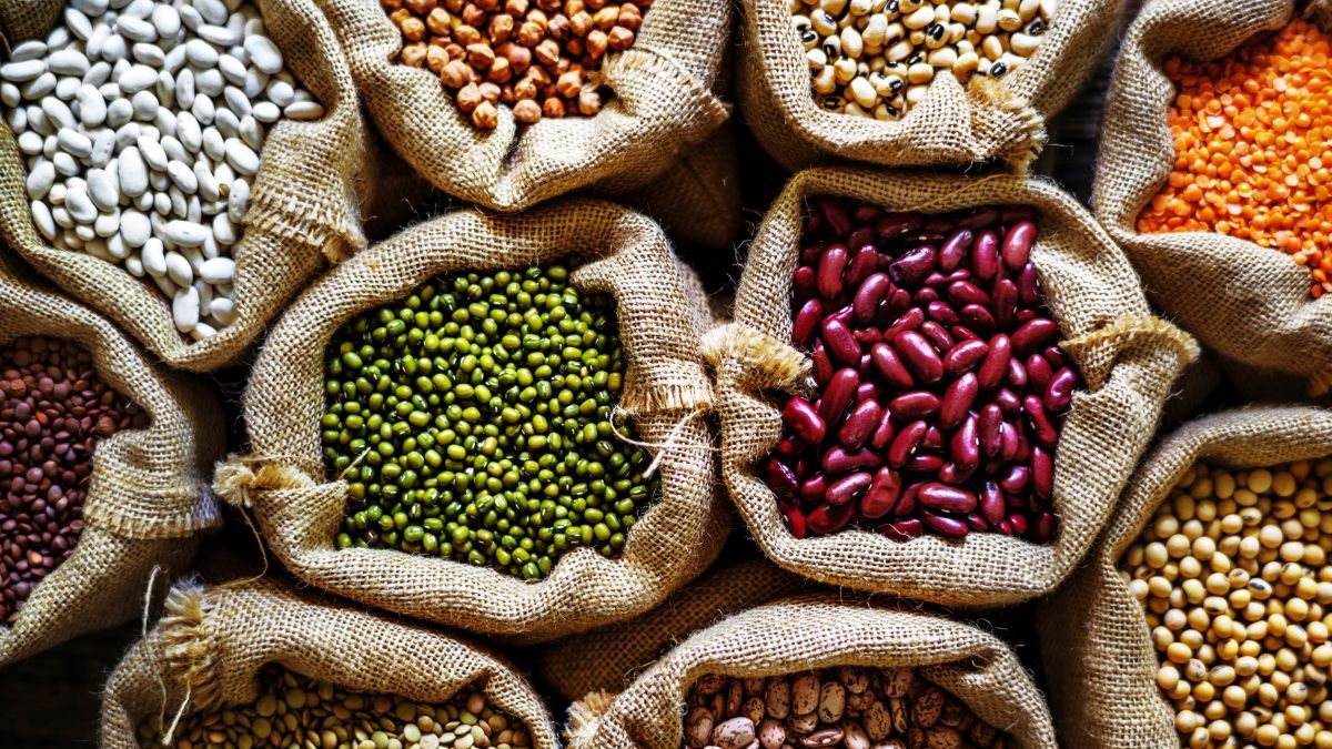 legume exports grew 85% in foreign currency