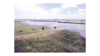 Desde el INTA recomiendan encarar siembras tardías, en especial de maíz, en un escenario marcado por el exceso de agua que se generó por las lluvias que se vienen registrando desde agosto.