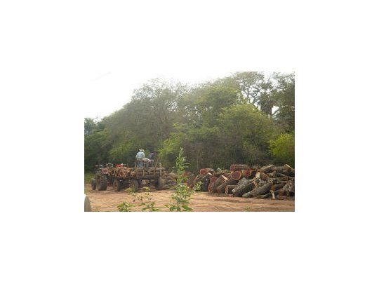 Abren diálogo por conflicto con la tierra
