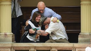ámbito.com | Ley Nicolás Senado