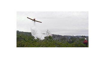 Cierran acceso al Parque Los Alerces el fuego descontrolado que devoró decenas de hectáreas de bosques nativos en el límite entre el Parque Nacional Los Alerces.