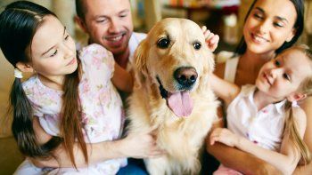 mascotas: los beneficios del vinculo con los chicos