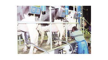 Los costos de producción crecen más que el valor de la leche.