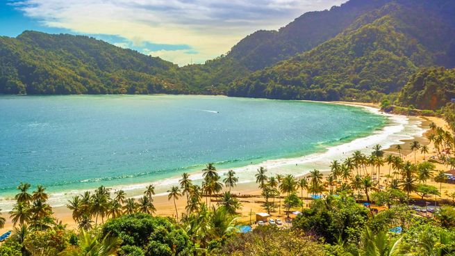 El escudo de armas de Trinidad y Tobago no ha sufrido alteraciones desde que el país ganó su independencia de Reino Unido en 1962.&nbsp;
