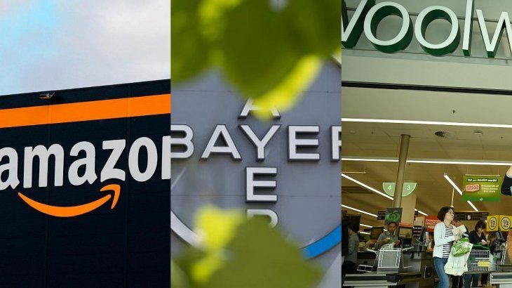 Amazon, Bayer y Woolworths, tres rubros con distintos rendimientos durante la pandemia.