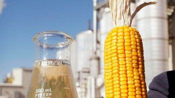 El incremento de precios dispuesto para el bioetanol a base de maíz no deberá tener impacto en los combustibles.