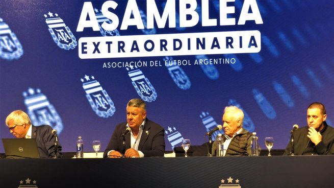 La Asamblea Extraordinaria de AFA resolvió por unanimidad eliminar uno de los descensos.