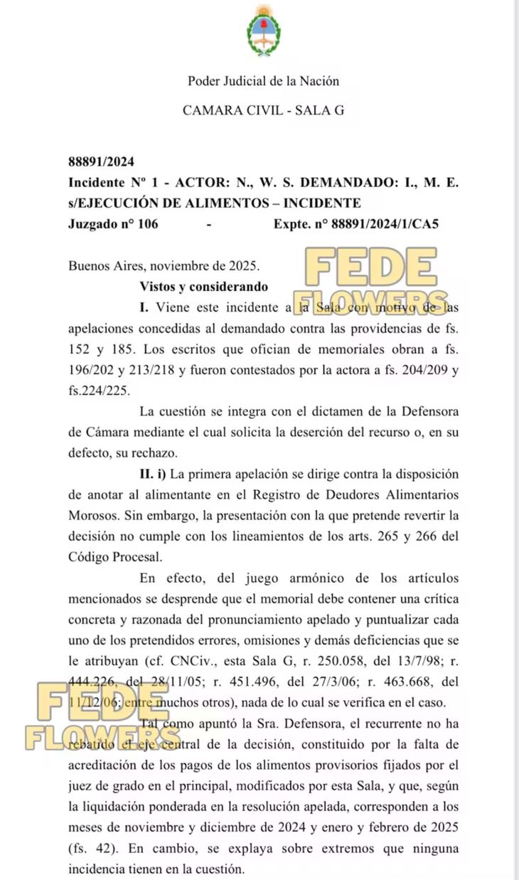 El documento que establece a Icardi en la lista de deudores alimentarios. El documento que establece a Icardi en la lista de deudores alimentarios.
