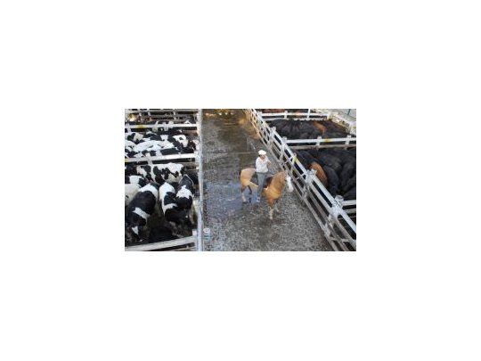 Liniers cerró sin tendencia