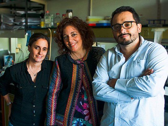 Natalia Paviolo, Vanesa Gottifredi y Gastón Soria, participantes en la investigación.. 