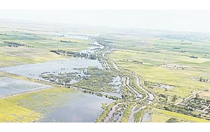 soja complicada. Actualmente habría alrededor de 770.000 hectáreas de la oleaginosa afectadas por las inundaciones,