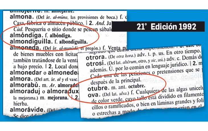 ámbito.com | Antiguas. En su 21a edición, el Diccionario de la Real Academia Española ya incorporaba los hoy cuestionados términos.
