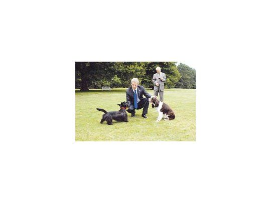 Un momento de relax canino: Josh Brolin, como George W. Bush, en «W.», de Oliver Stone.