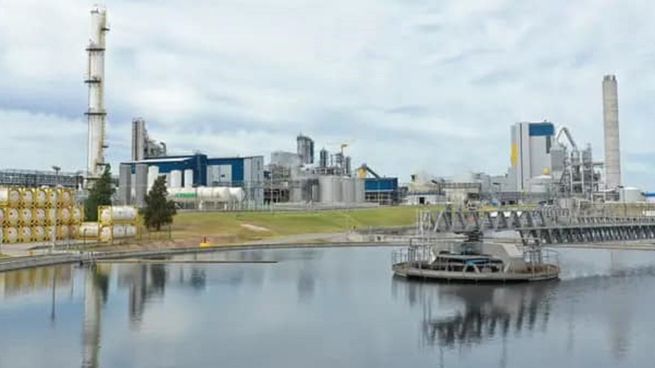 OSE asegura que no hubo afectación en la toma de agua.