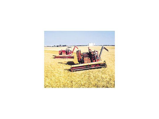 En los últimos días se retomó con fuerza la cosecha de trigo, quealcanzó al 32,6% del área sembrada con una producción de 2,1millones de toneladas.