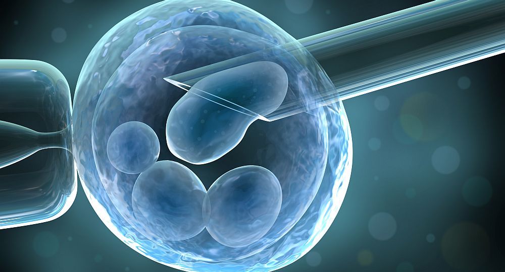 El tribunal entendió que la obra social debe cubrir el tratamiento en sí, pero no el costo de la reserva una vez extraídos los óvulos. El tribunal entendió que la obra social debe cubrir el tratamiento en sí, pero no el costo de la reserva una vez extraídos los óvulos.