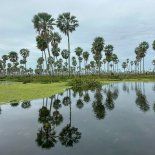 Estos destinos no son tan concurridos pero guardan un encanto único que los convierten en una gran alternativa. Estos destinos no son tan concurridos pero guardan un encanto único que los convierten en una gran alternativa.