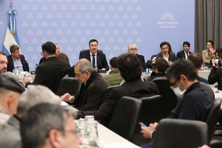 Luis Petri durante su intervención en la Cámara de Diputados, en agosto del 2024.