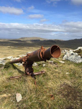Cañón argentino en Monte Longdon.