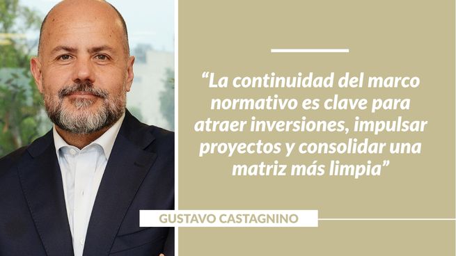 Director de Asuntos Corporativos, Regulatorios y Sustentabilidad ESG de Genneia.