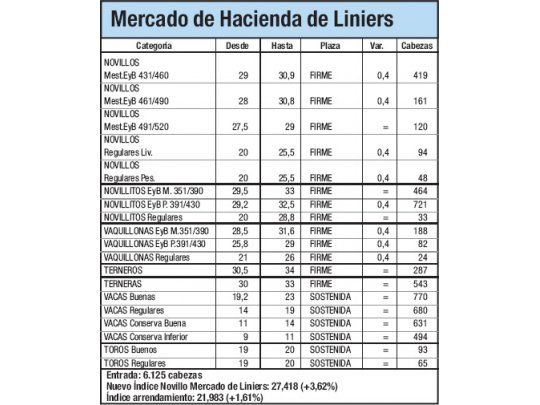 Índice Novillo subió un 3,6% en Liniers