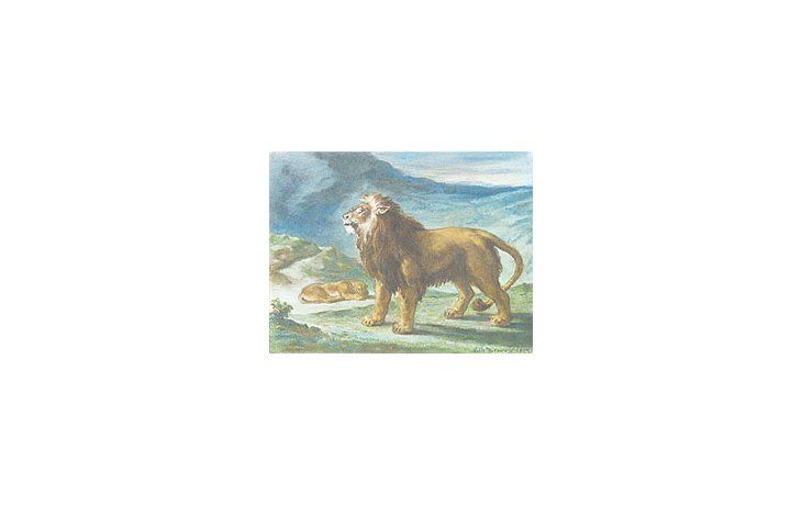 ámbito.com | La obra de Eugene Delacroix por la que se esperaban100.000 dólares y se vendió en 3 millones en Londres. EnBuenos Aires, un Raquel Forner superó 10 veces su estimaciónal venderse en 360.000 pesos.