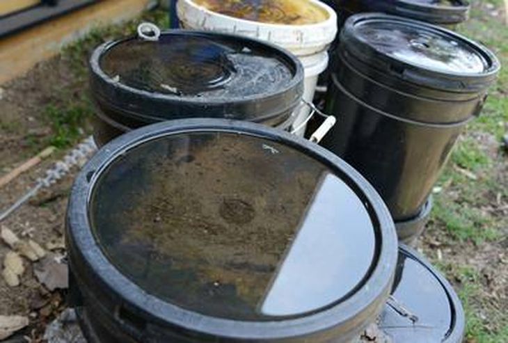 La técnica, que ya fue probada en 2017, utiliza los propios criaderos de mosquito para esparcir el larvicida a través de los mosquitos. La técnica, que ya fue probada en 2017, utiliza los propios criaderos de mosquito para esparcir el larvicida a través de los mosquitos.