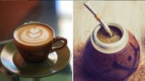 mate o cafe: ¿cual te ayuda mas a concentrarte?