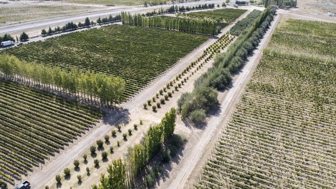 La Pampa logró duplicar las hectáreas productivas en Casa de Piedra.