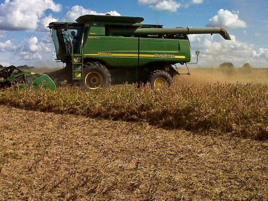 La Bolsa de Cereales de Buenos Aires (BCBA) destacó el buen estado de las plantas y a condiciones favorables de humedad en el suelo.