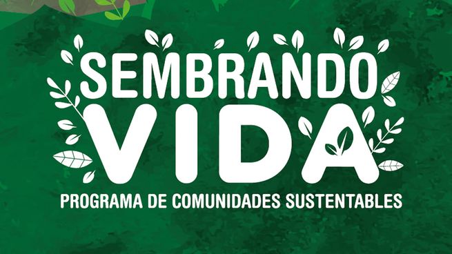 Nuevo pago del programa Sembrando Vida.