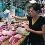 China extenderá por dos meses más la investigación de una salvaguarda para limitar las importaciones de carne bovina. China extenderá por dos meses más la investigación de una salvaguarda para limitar las importaciones de carne bovina.
