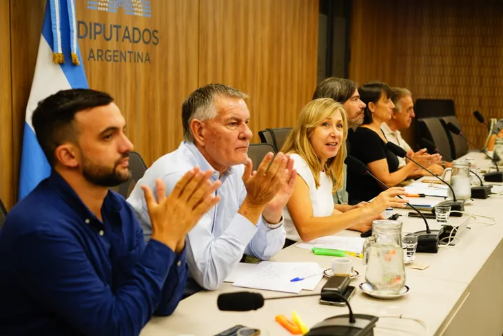 Las audiencias se realizar&aacute;n el 25 de marzo de forma presencial y el 26 de manera virtual.