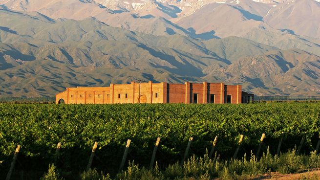 En la bodega Andeluna se elaboran vinos orgánicos y biodinámicos. 