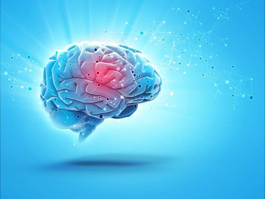 Cerebro.