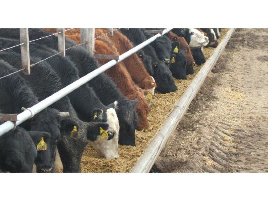 Liniers cerró mayormente sin cambios debido a la fuerte demanda