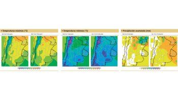 Se esperan importantes lluvias sobre el norte del área agrícola