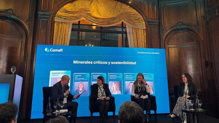 El panel de Minerales críticos y sostenibilidad fue moderado por Sebastián D. Penelli, periodista de Energy Report y Ámbito.com y también egresado del programa UNBC. El panel de Minerales críticos y sostenibilidad fue moderado por Sebastián D. Penelli, periodista de Energy Report y Ámbito.com y también egresado del programa UNBC.