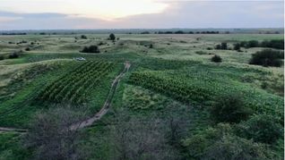 El escenario agroclimático del trimestre mayo-julio 2025 obliga a un ajuste fino en la planificación productiva.&nbsp;