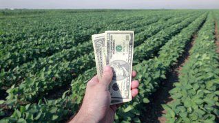 Los exportadores reclaman ajustes en costos, mejoras logísticas y certezas para atraer inversiones. Los exportadores reclaman ajustes en costos, mejoras logísticas y certezas para atraer inversiones.