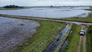 Las inundaciones afectan fuertemente al campo. Las inundaciones afectan fuertemente al campo.